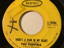 NORTHERN SOUL The Poppies THERE'S A PAIN IN MY HEART Epic 45 rare Canadian press