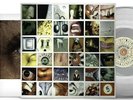 Pearl Jam No Code 2021 Release CLEAR vinyl LP Limited Edition NEW & SEALED
