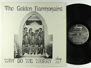 Golden Harmonairs - Why Do We Worry LP - Champ - Funk Gospel VG++ Shrink MP3
