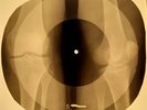 Bob Marley - One Love X-RAY OF THE USSR X-RAY BONES RECORDS