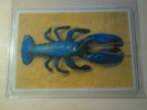 *** THE B52s - ROCK LOBSTER - SHAPED PICTURE DISC - BFTL1 - 1986  ***