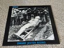 Spazz - Dwarf Jester Rising LP Record (Powerviolence, Crossed Out, Infest,...