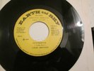 PRIVATE FLORIDA SOUTHERN ROCK 45 TALON BROTHERS EARTH AND SKY RECORDS GUNFIGHTER
