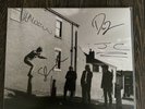 THE LATHUMS - HOW BEAUTIFUL LIFE CAN BE BLOOD RECORDS ZOETROPE PIC DISC MINT