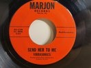 Vibrasonics Send Her To Me Don't Go Rare Pa. Garage 45 Marjon Records