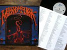 MIND FUNK - Self titled (1991) Vinyl, LP Epic 467790 1 - Funk Metal