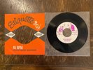 THE WAILERS out of our tree / Rockin' Robin Roberts and the fabulous NORTON 7