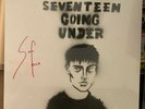 SAM FENDER - Seventeen Going Under Vinyl LP Signed Spray Painted Sleeve. New.
