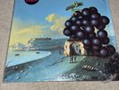 Moby Grape Wow Vinyl LP Sundazed Reissue Played 1x still in Shrinkwrap