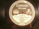 78 : EDISON 51443-GOLDEN GATE-GARDEN IN SWEDEN-B/ SOUTHERN ROSE -D    E+