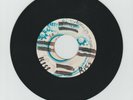 SUNSHOT/ BLACK MAGIC WOMAN - DENNIS BROWN (72 REGGAE ROOTS 7