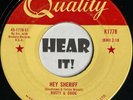 50s Cajun Rockabilly Jiver 45 RUSTY & DOUG KERSHAW Hey Sheriff QUALITY listen