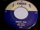 The Rays - Tippity Top / Moo-Goo-Gai-Pan - EX/NM VINYL & EX AUDIO (1956 R&B/R&R)