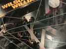 WILSON WILLIAMS Up The Downstairs ABC LP NM Funk Boogie Disco Funk Brothers