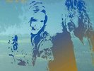 Robert Plant & Alison Krauss - Raise The Roof (NEW 2 VINYL LP)