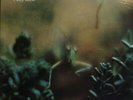 STEELY DAN - KATY LIED - US 78 - MFSL - MINT-NM