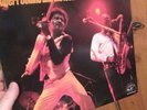 Near Mint Vinyl Albert Collins and The Icebreakers Live In Japan LP No Reserve