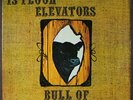 THIRTEENTH FLOOR ELEVATORS: bull of the woods International Artists 12