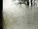 Bon Iver - For Emma, Forever Ago Vinyl Brand New
