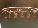 Muse-Time Is Running Out 7” Clear Vinyl