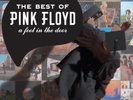 The Best Of Pink Floyd: A Foot In The Door by Pink Floyd (2LP, 180 Gram Vinyl)