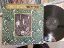 THE LEAVES Hey Joe Original Mira LP Press Garage Psych debut