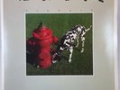 Signals by RUSH (Record, 1982) Polygram Records SRM-1-4063