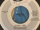 Garage Promo 45/ Rationals 