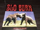Slo Burn Amusing The Amazing 10