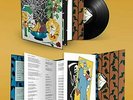 Parquet Courts Sympathy for Life Deluxe LP