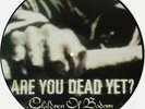 Children Of Bodom ARE YOU DEAD YET? PICTURE VINYL LP NUMBERED MINT
