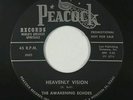 Black Gospel 45 - Awakening Echoes - In My Distress - Peacock - VG+ mp3