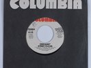 70s Soul 45 CHICAGO Street Player COLUMBIA VG+ promo HEAR
