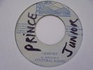 CULTURAL ROOTS Cemetary BLUE MOUNTAIN Killer  Digi Roots Reggae 7