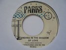 LLOYD PARKS Standing In The Shadow Of Love PARKS Jamaica Disco Funk 7