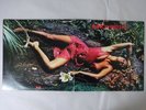 Roxy Music Stranded Polydor MPF 1142 Japan  VINYL LP