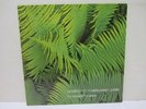 Edgar Froese- Ypsilon In Malaysian Pale (Brain,Germany) Vinyl LP  NM