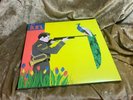 Fun Aim And Ignite debut deluxe edition 2LP Album etched side 4 includes CD mint