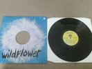 Ill considered - Wildflower LP - New UK London Jazz - Limited Pressing - Rare