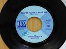 Thirteenth Floor Elevators  45 Youre Gonna Miss Me bw Tried To Hide  vinyl copy