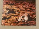 Metallica - Exit Sandman - Limited Edition - Colored Vinyl - MINT - $.01 Start