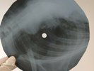 SENSATIONS LET ME IN X-Ray USSR Record Roentgen Bone Ribs Music Vinyl