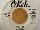 Gerald Sims ‎– Little Echo / Mother Nature Promo