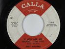 Northern Soul 45 JERRY WILLIAMS If You Ask Me CALLA HEAR