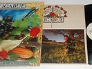 LIGABUE LAMBRUSCO COLTELLI ROSE & POP CORN LP 1991 + INSERTO