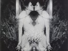 Die Form - Extrmum 2LP Ltd Ed Picture Discs