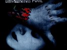 DROWNING POOL-SINNER  LP VINYL LP NEW