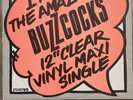 BUZZCOCKS I Am The Amazing Buzzcocks 12