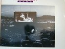 Walter Trout Band - Life In The Jungle - Vinyl Record.. - d7420d