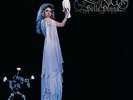 Stevie Nicks - Bella Donna - Vinyl Record.. - d2d